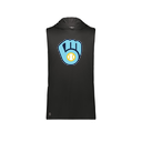 Men's CoolDry Sleeveless Hoodie